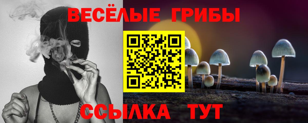 Псилоцибиновые грибы MAGIC MUSHROOMS Семилуки
